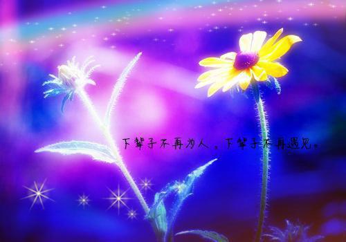 小说爆火后，我成了预制杀人犯季昭昭苏野小说(完整)免费阅读