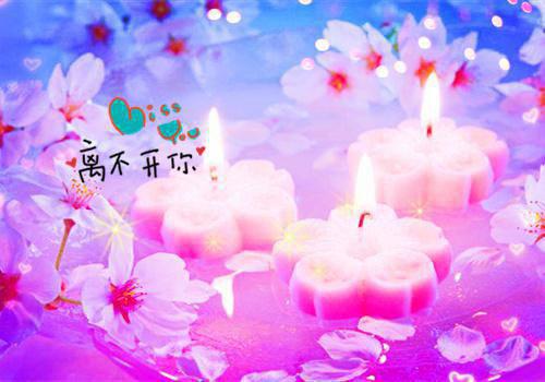 海棠开后却春寒免费阅读 主角卫初寒李昭宁棠花