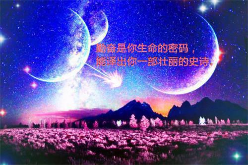 菀菀类卿免费试读 陆淮陈雯小说第1章