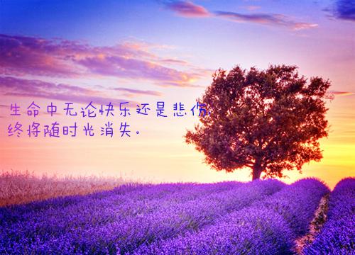 经年离歌愁未休纯净版（顾允廷宋卿落）已完结，经年离歌愁未休纯净版已完结