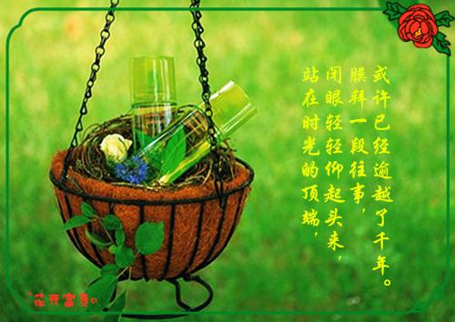 江南免费章节最新 直播炫耀贤惠妻子,弹幕说她拿***养情夫by北野刮风