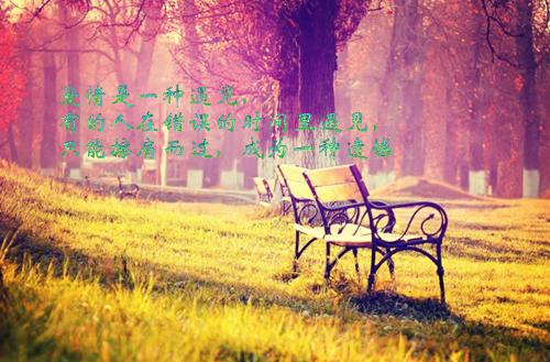 沈黎书贺萧董招弟免费小说 沈黎书贺萧董招弟在线阅读