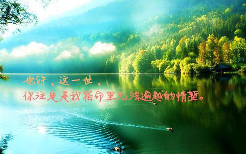 沈闫沈冉冉大结局免费阅读 沈闫沈冉冉全文小说