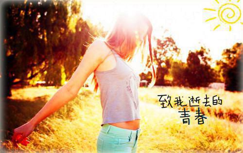 并蒂莲花开几朵小说 并蒂莲花开几朵魔法绿老头