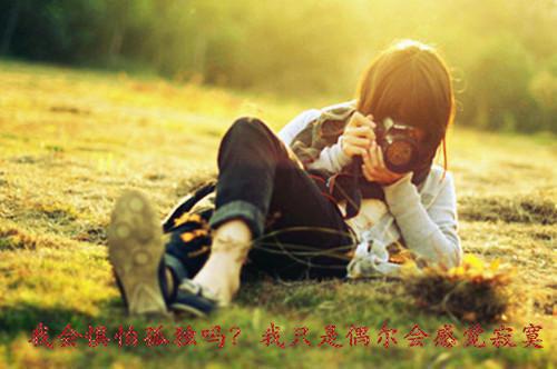 主角是沈眠陆知的小说免费阅读全文大结局