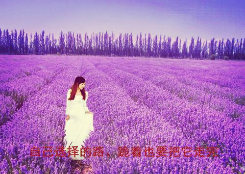 一舞动天下免费试读 苏玉华晏珩小说第1章