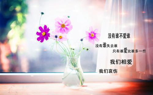 完结文人面桃花长相忆最新章节列表_完结文人面桃花长相忆全文免费阅读（阮雾梨闻砚辞）