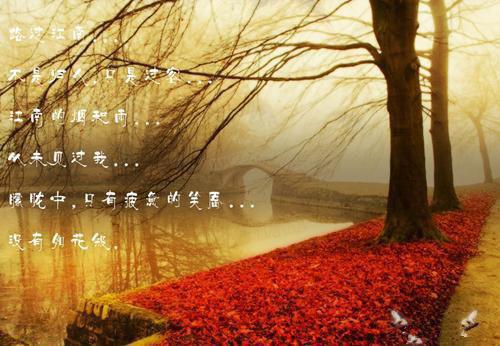 惜宁今安顾惜宁苏今安完结小说全文在线阅读