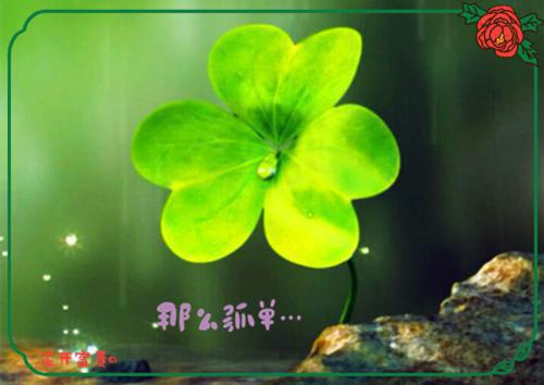 顾念顾昭然是什么书 顾念顾昭然免费章节在线阅读