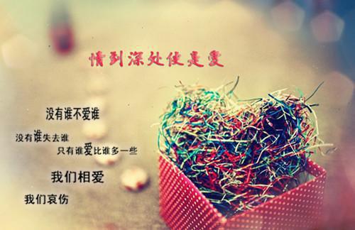 失忆后她让我娶别人，我领证后她却悔疯小说 苏阳顾言在线阅读
