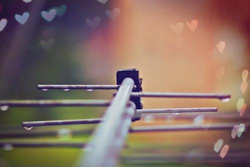 林木李翠花免费全本小说 林木李翠花章节目录