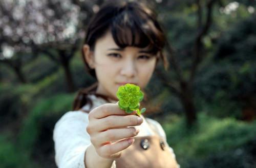 阮初夏傅宴北全文阅读最新 阮初夏傅宴北小说目录