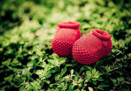 烟雨皆散尽，你我仍同路最新章节 李大勇姜辞远在线阅读