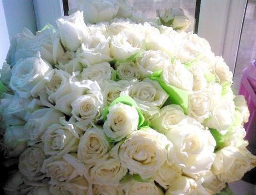 我车祸当日，老婆在朋友圈晒私生子(神秘人)小说最新章节