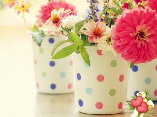 林薇张浩全文阅读 林薇张浩小说最新章节