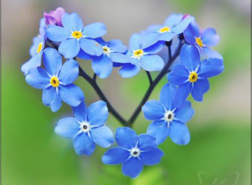 楚璟烨韩默乔诗语完整版 楚璟烨韩默乔诗语小说全文在线阅读