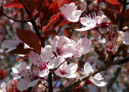 火灾时老公选择先救寡嫂，重生后我杀疯了免费阅读赵名哲苏雨瑶小说第2章