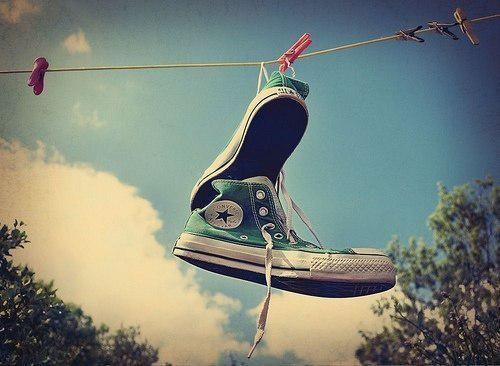 (完整版)郑茵王玲玲王芳小说免费阅读无广告