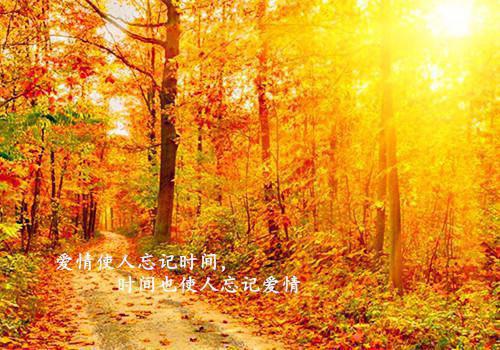陆乾泽苏昭昭小说在线阅读（苏昭昭陆乾泽）全文免费阅读无弹窗大结局_陆乾泽苏昭昭小说免费最新章节列表