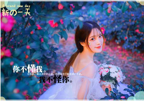 江秋言陆泽裕小说 江秋言陆泽裕免费全文阅读