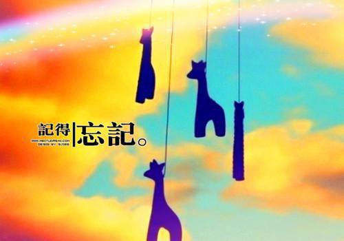 恰似南风抚惊枝 主角傅京川江雨疏小说