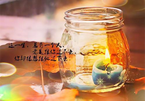 经纬度里的哲学罗曼史在线阅读 顾衡沈知微小说