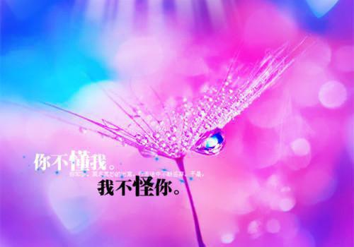 梦瑶陆颢然最后结局 梦瑶陆颢然完结版免费阅读