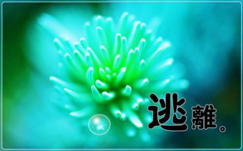 我掉蛇女马甲后，点天灯假死丈夫悔疯了番外（盛景泽）全文浏览_我掉蛇女马甲后，点天灯假死丈夫悔疯了番外全文浏览