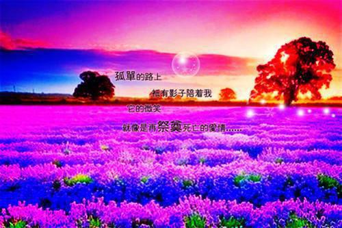 深恩负尽，爱恨成空全文无弹窗目录 沈棠贺景州无弹窗阅读
