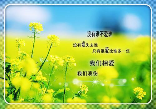历史：千金大小姐对我不屑一顾，我换人你哭啥？张晨林诗音免费章节试读