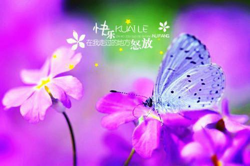 三国：开局虎牢关，打跑刘关张小说(瑜天董卓)章节阅读