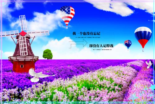 主角段桢江浸月小说免费阅读最新章节