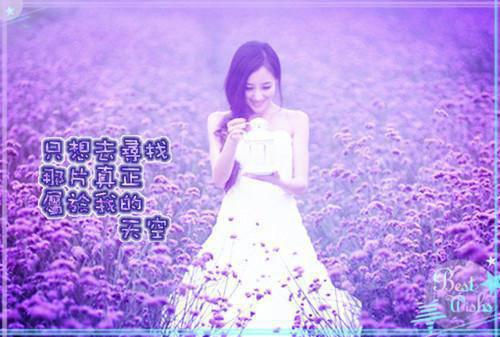 沈奕辰星澜小说名字免费 未婚夫逼我流产5次后，我嫁给了部落首领章节阅读
