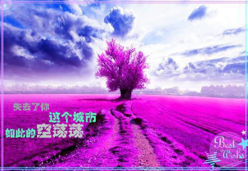 (抖音小说)陈心玲林警官小说全文阅读免费