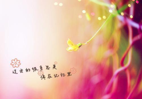 主角林书宁裴景深小说免费阅读最新章节