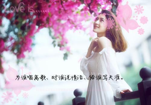嫁给疯子霸总后，还俗竹马跪地求我回头最新小说（沈陆羽）全文阅读