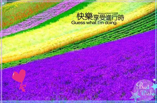 顾挽音沈霆骁小说最新章节 顾挽音沈霆骁免费阅读
