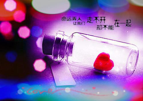 谢瞻陈思思是什么小说的主人公 谢瞻陈思思免费阅读