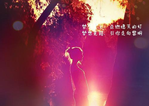 叶二牛何莲花是什么书 叶二牛何莲花免费章节在线阅读