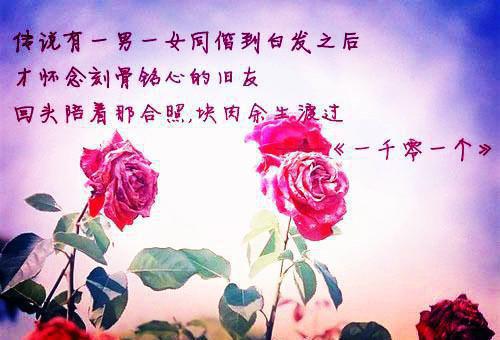陆铭赵晓晓全文最新章节正版小说免费阅读