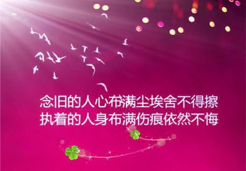 苏诗情秦楚言全文免费大结局 苏诗情秦楚言小说在线阅读