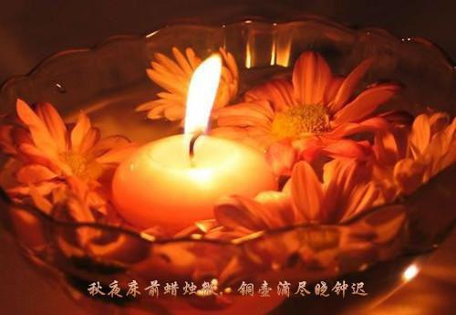 好看的闻砚辞阮雾梨看点十足小说_闻砚辞阮雾梨看点十足最新章节阅读