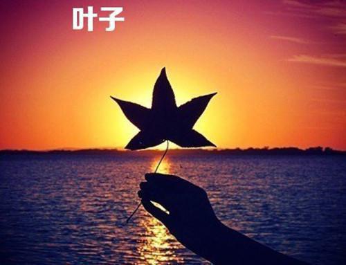 骆识秋季淮年全文免费阅读最新 骆识秋季淮年第四章