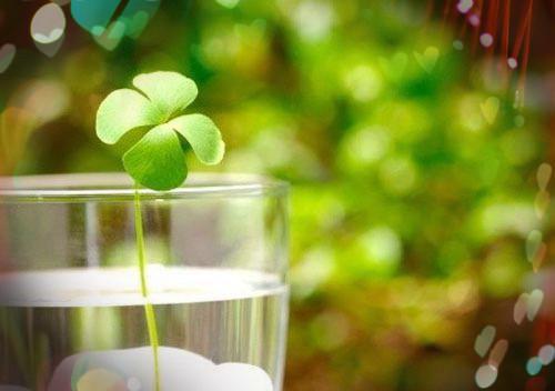 养他八年，男友把我当资本敲门砖免费阅读 主角萧源松林清婉