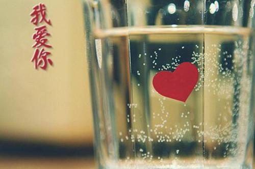 续命系统通古今，我扶持罪臣登基了目录 裴竟沈梨无弹窗阅读