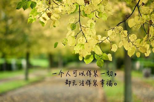 苏清雪林泽小说全文免费阅读 苏清雪林泽最新章节