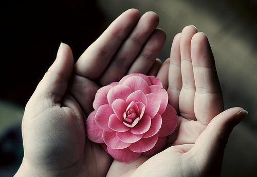 他的研究生师妹怀了龙凤胎，我闪婚了首发小说 齐田田苏渺陆宴之在线阅读