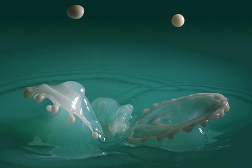 又逢枯木几生花小说完整版 陆瑾深宋南音在线阅读