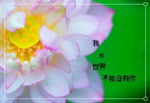 重回末世，我带兽夫亲手撕碎脑残亲哥季盛春赵小艺小说最新章节(在线阅读)