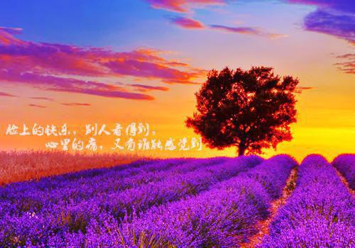 家父镇北王，我为所欲为怎么了？小说免费章节抢先阅读